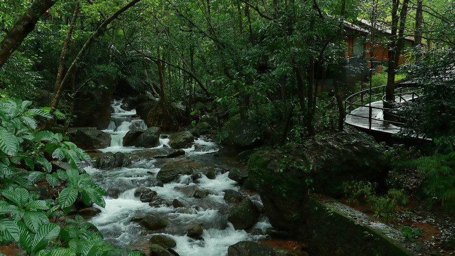 Vythiri Resort Wayanad — Resort in Vythiri and Lakkidi